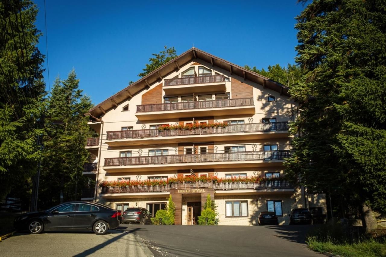 Апарт-отели Hotel Regal Sinaia Синая-37