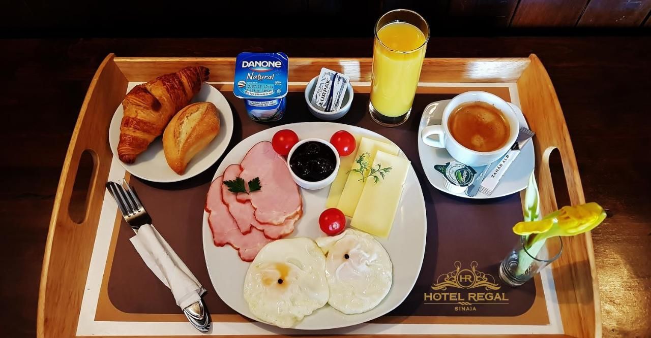 Апарт-отели Hotel Regal Sinaia Синая-48